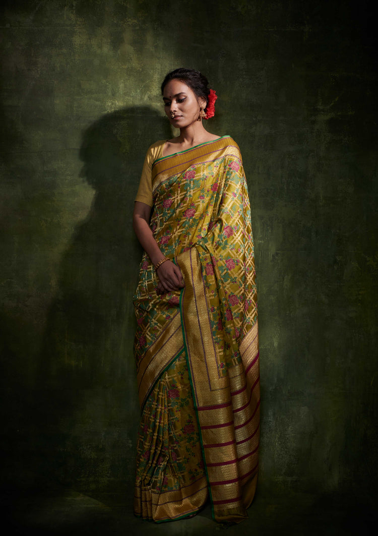 Anjuman (Olive)
