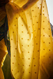 Ksheer (Yellow)
